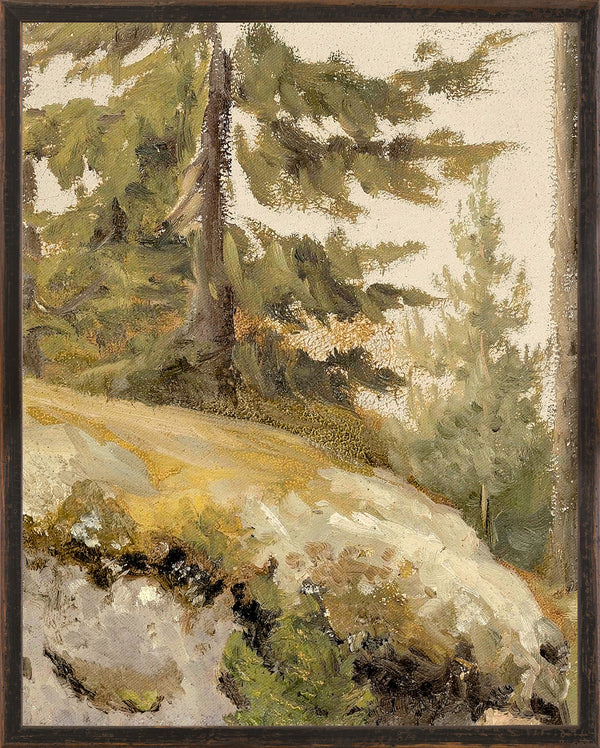NORTHERN COLLECTION - FOREST STUDY C. 1881 LARGE