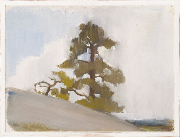 NORTHERN COLLECTION - JACK PINE C. 1880 LARGE