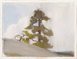 NORTHERN COLLECTION - JACK PINE C. 1880 LARGE